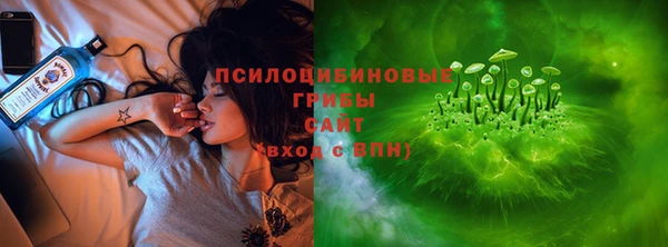 сатива Абаза