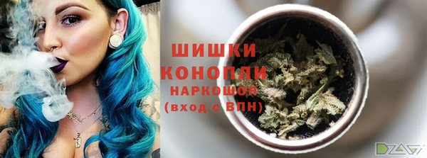 индика Абдулино