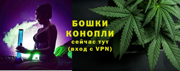 сатива Абаза