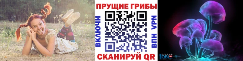 Псилоцибиновые грибы мухоморы  hydra ссылки  Галич 